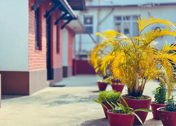 Garden *